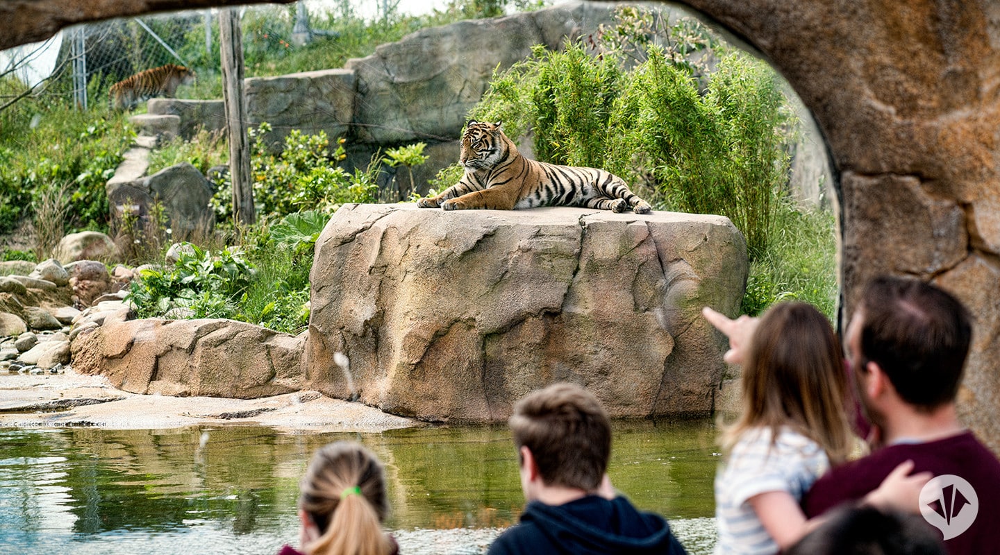 chester-zoo-islands-danpearlman