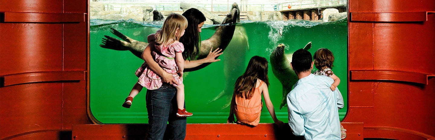 erlebnis zoo hannover hannover