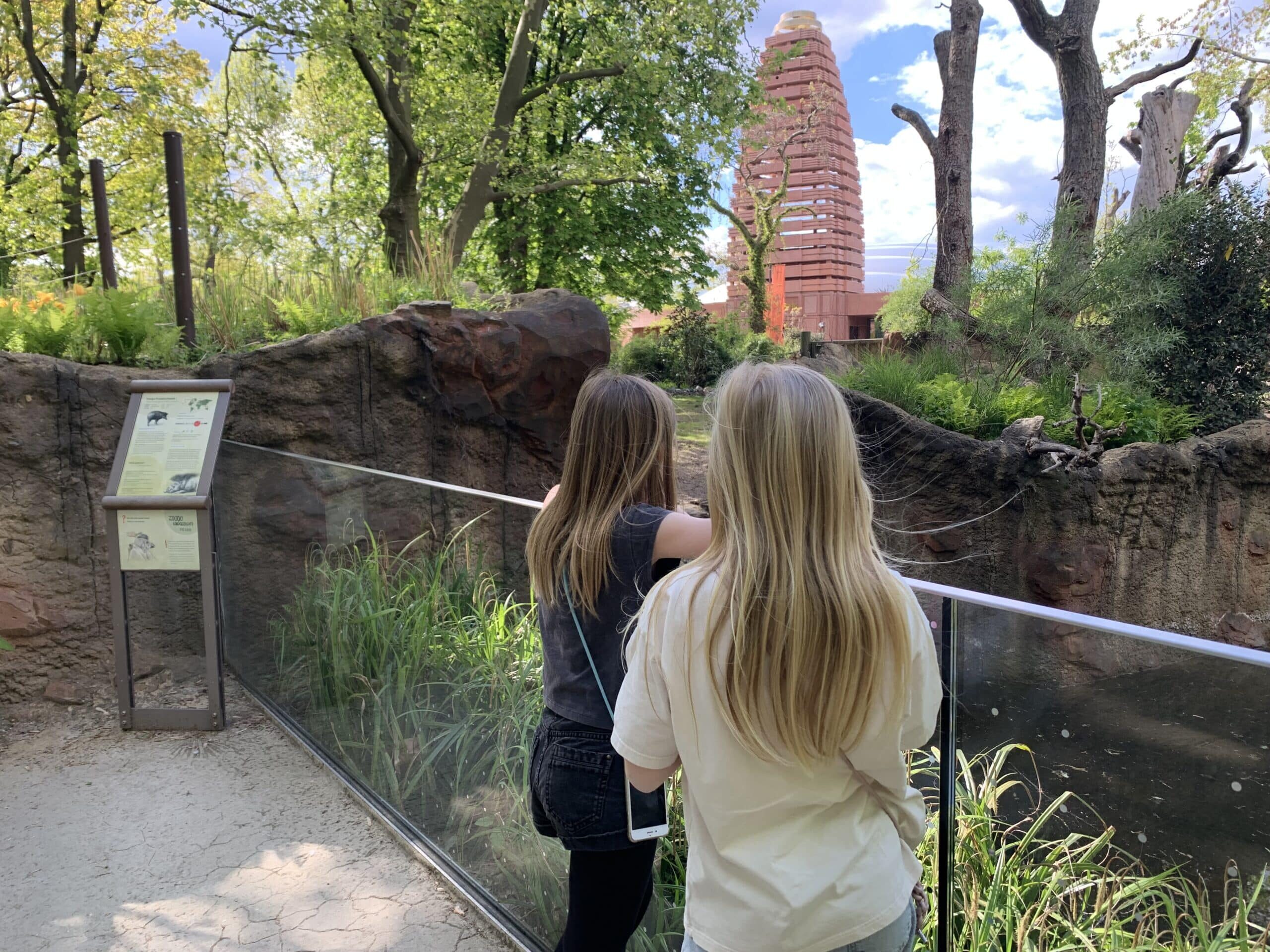 NP ZooBerlin NP Didaktik 0 K 0x0